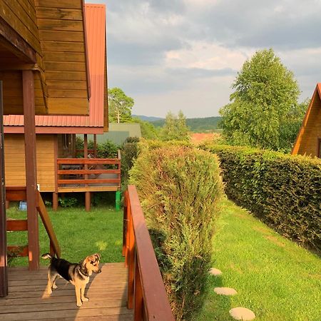 Domki Nad Solina Czarny Kot 509-797-777 Екстериор снимка
