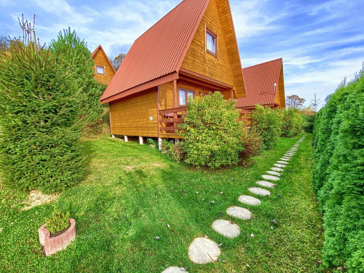 Domki Nad Solina Czarny Kot 509-797-777 Екстериор снимка