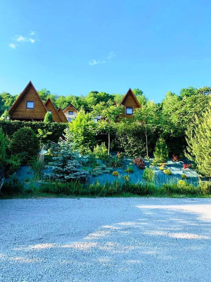Domki Nad Solina Czarny Kot 509-797-777 Екстериор снимка