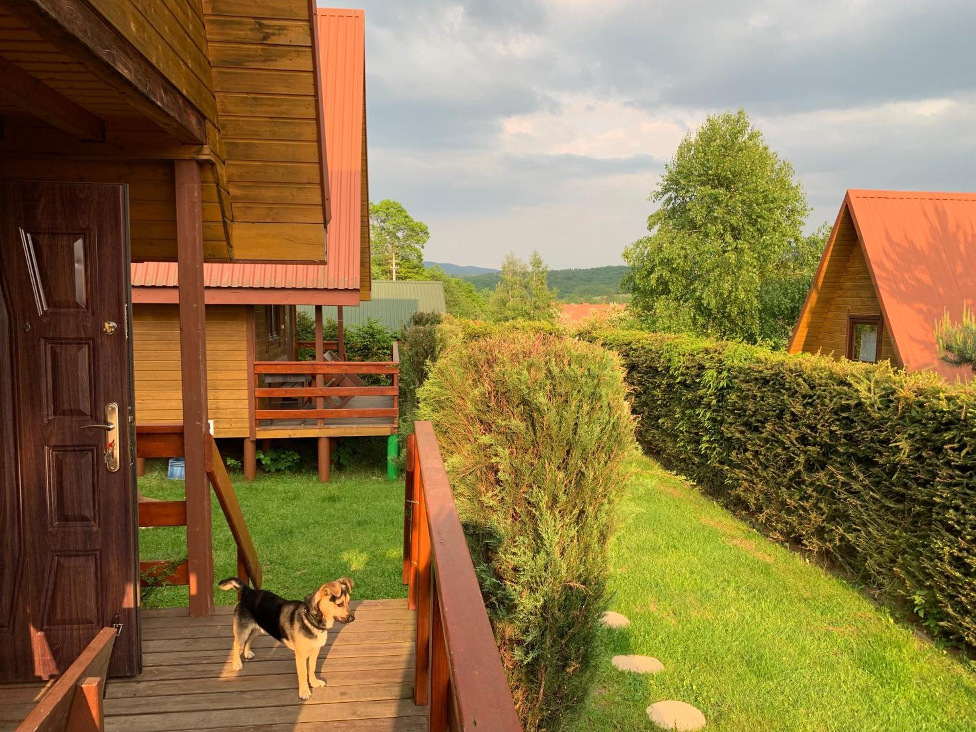 Domki Nad Solina Czarny Kot 509-797-777 Екстериор снимка