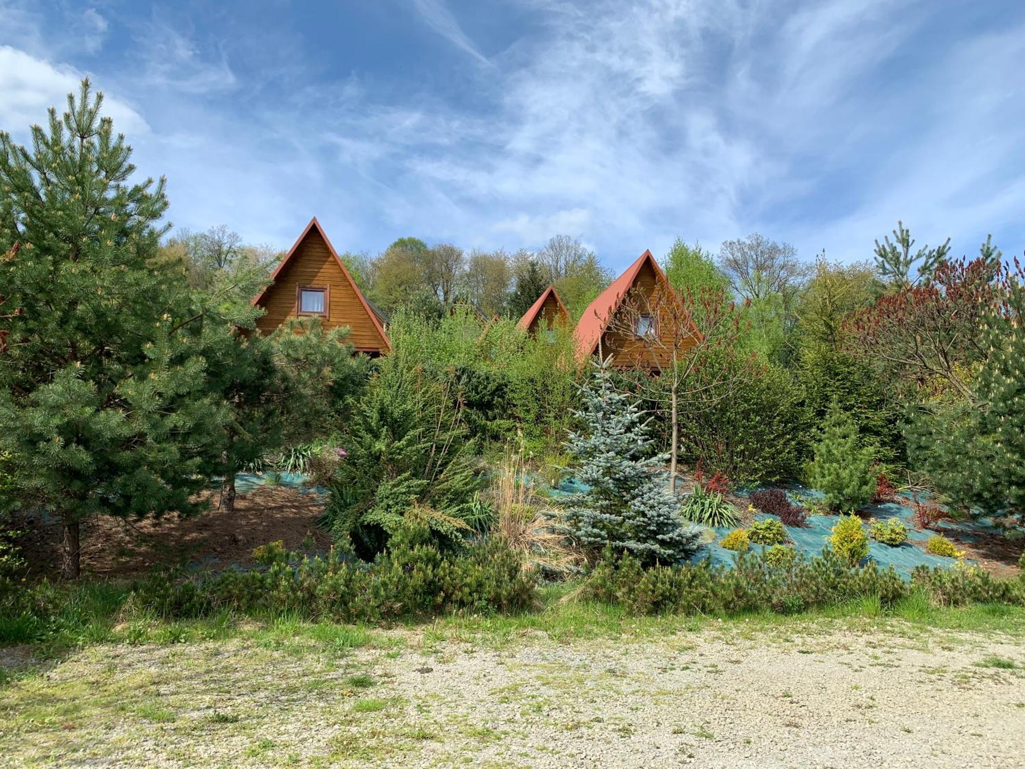 Domki Nad Solina Czarny Kot 509-797-777 Екстериор снимка